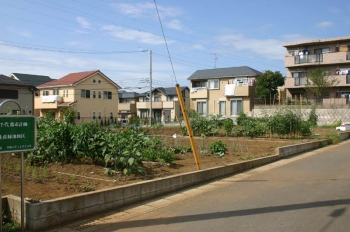 市街化区域の畑（上高野）の画像