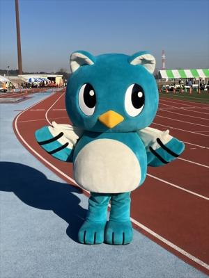 ロードレース