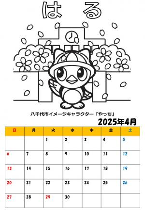 202504