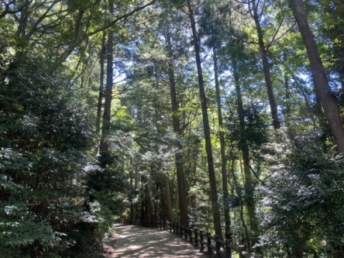 熱田ヶ池公園の画像