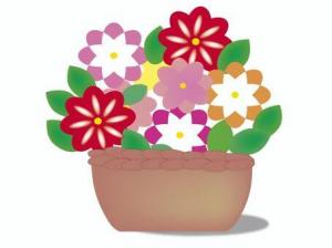 初夏の寄せ植え