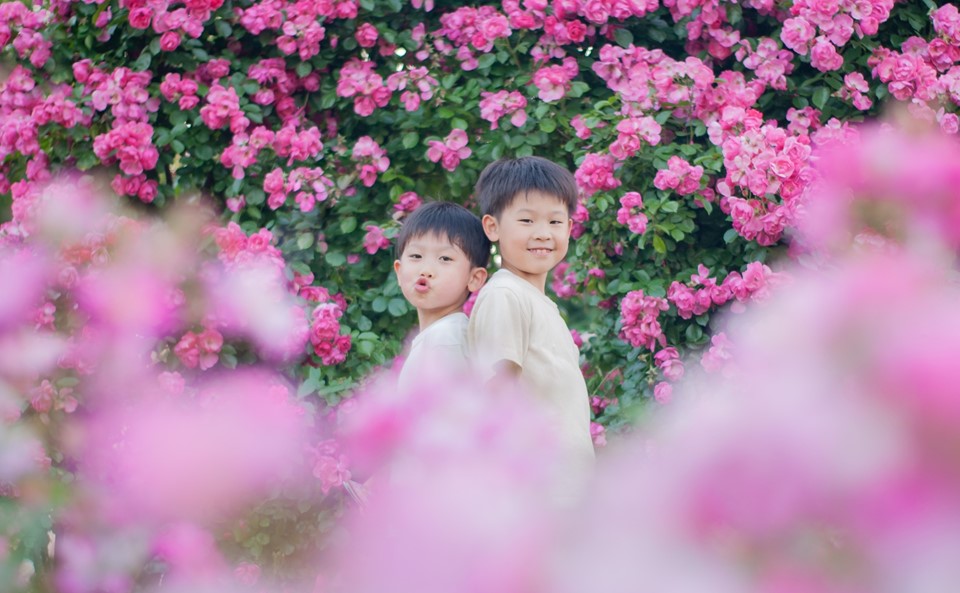 フォトコン４９