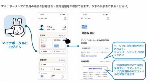 マイナポータルでの確認方法