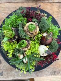 球根ケーキのイメージ写真