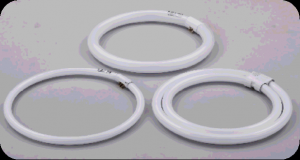 環形蛍光ランプ