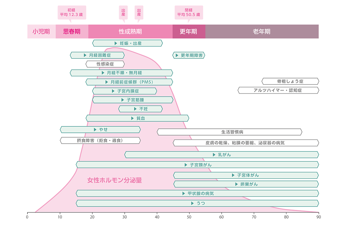 女性ホルモンと健康課題