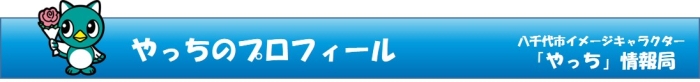 やっちのプロフィール