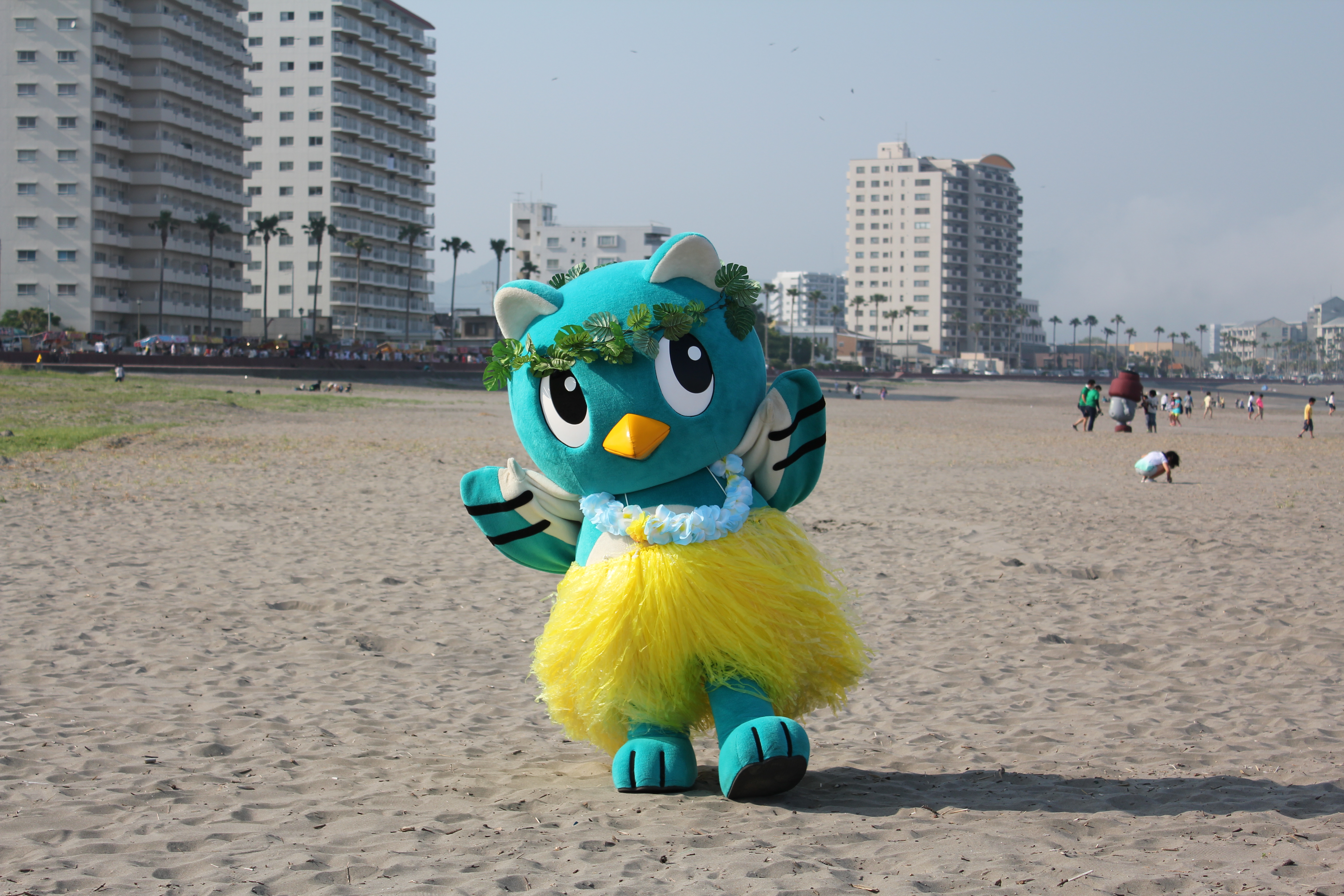 海の砂浜にいるやっち