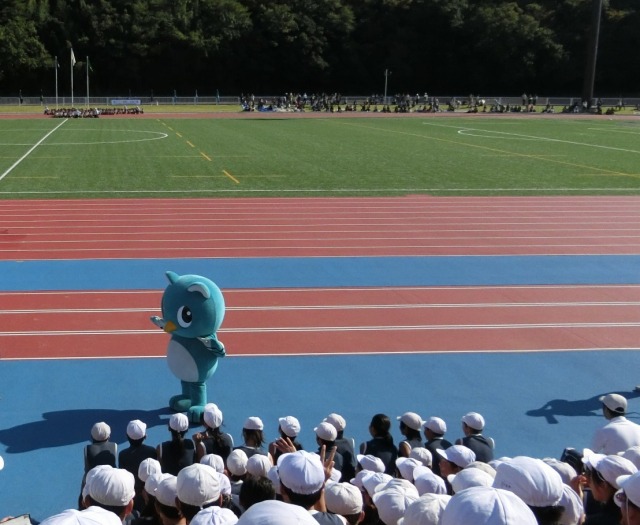 小学校総合体育祭にいるやっち