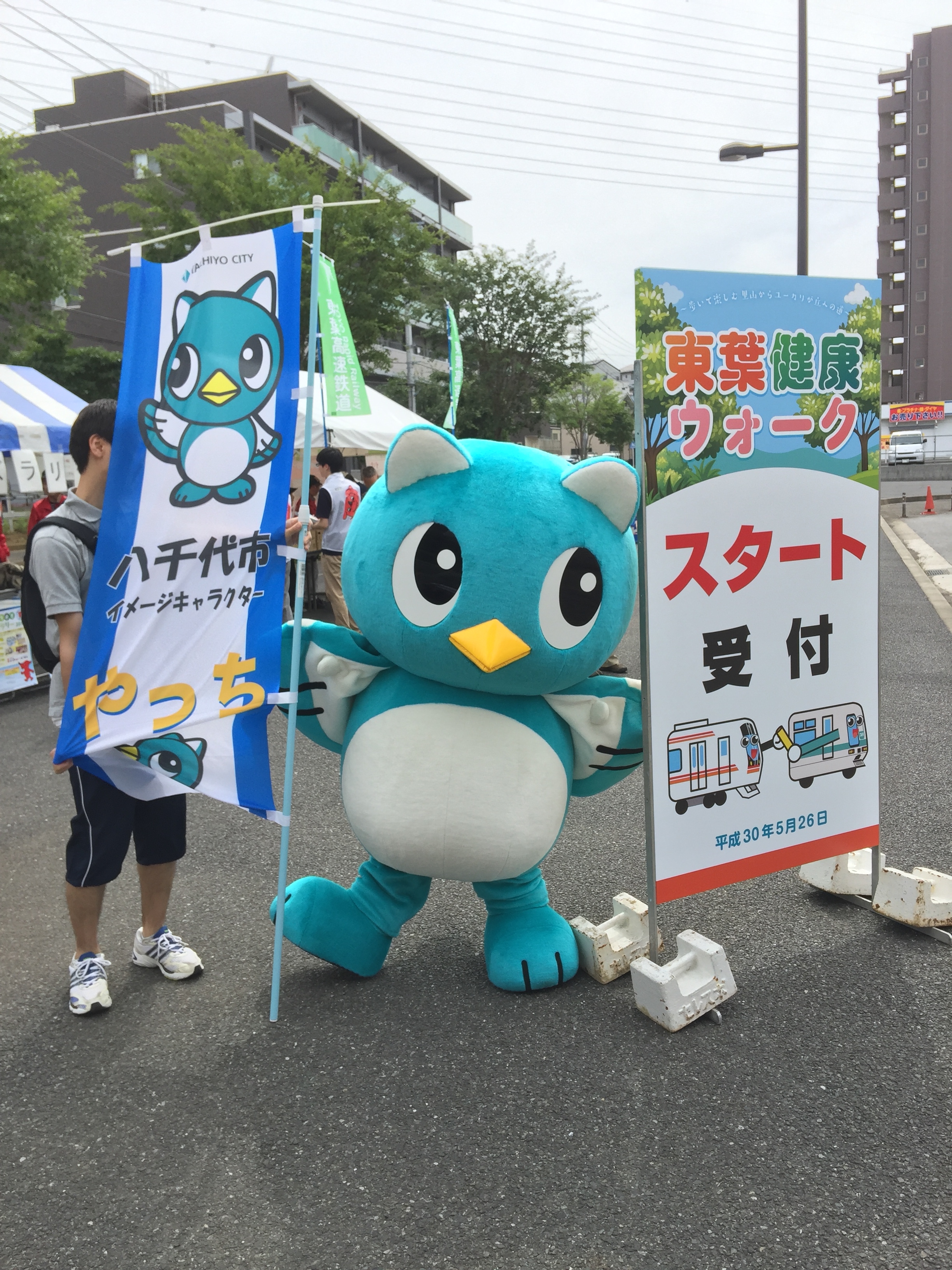 東葉健康ウォーク　～歩いて楽しむ里山からユーカリが丘への道～の画像2