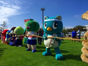 成田スポーツフェスティバルの画像4