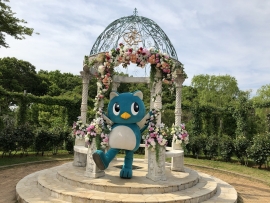 京成バラ園　ローズフェスティバル2019の画像2