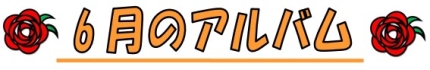 6月のアルバム