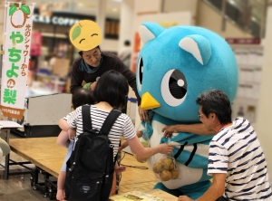 令和元年度　やちよの梨「食べて見て」の画像1