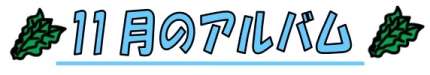 11月のアル バム