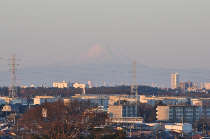 富士山