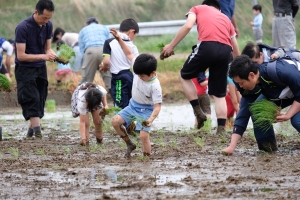 都市型農業への取り組み（四季を通した農業体験）の画像2