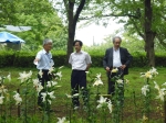 20150716村上緑地公園ユリまつり