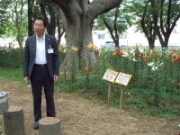 20170608村上緑地公園「ユリまつり」