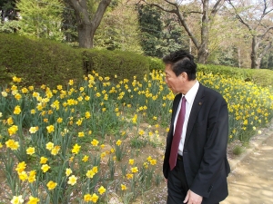 萱田地区公園スイセンまつりの画像