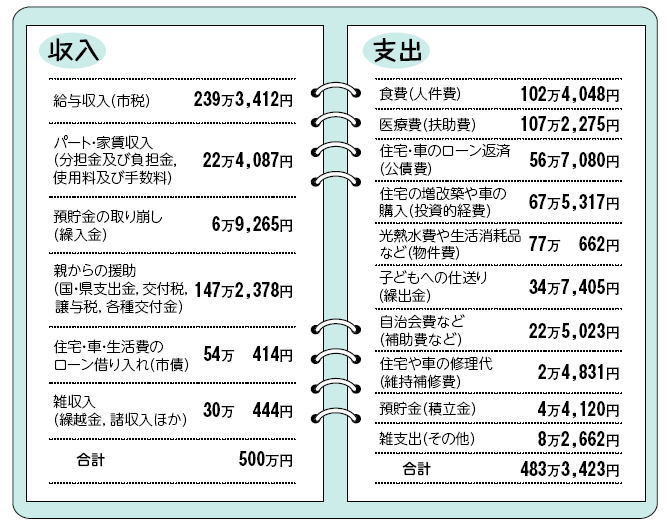 収入収支の画像