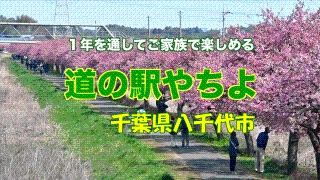 【道の駅やちよ】ドローン等で撮影の画像