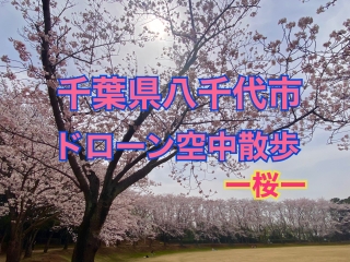 ドローン空中散歩　－桜－の画像