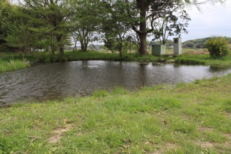 ほたるの里トンボ池の画像