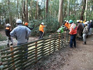 第6回　竹林整備作業の画像