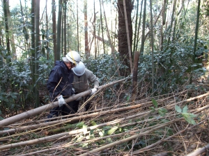 竹林の整備をしました