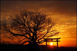 部門賞（自然景観部門）の画像