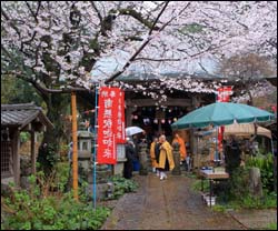 部門賞（歴史・文化部門）の画像