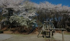 村上緑地公園の写真（ワイワイ広場）