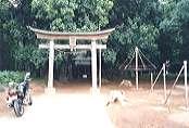 八千代台西市民の森の写真2（諏訪神社の鳥居）