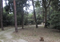 勝田市民の森の写真