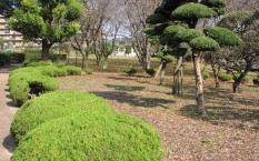 大和田新田樹木見本園の写真2