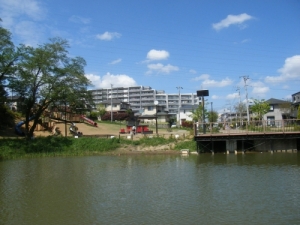 黒沢池近隣公園の写真