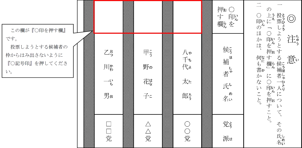 記号式投票とはの画像