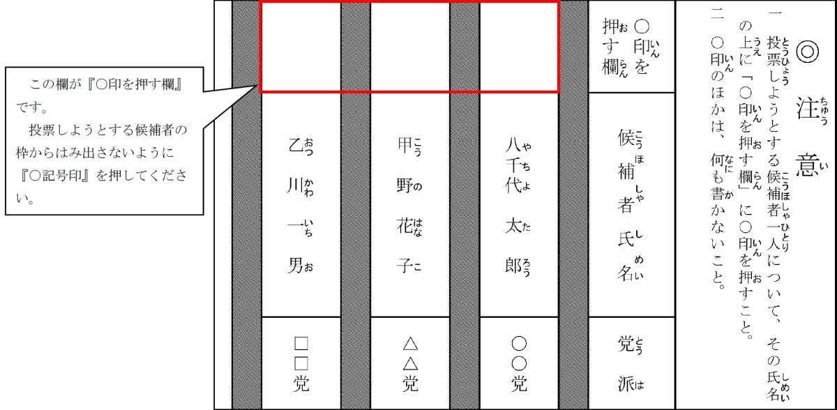 記号式投票とはの画像