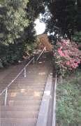 飯綱神社本殿・拝殿・玉垣・参道石段4