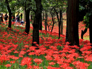 村上緑地公園