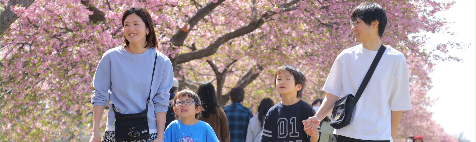 桜並木を歩く家族の写真