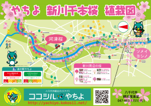 新川千本桜植栽図