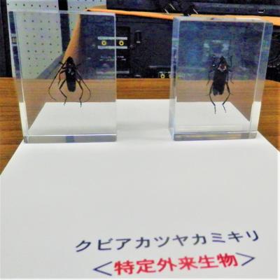 講座の様子5