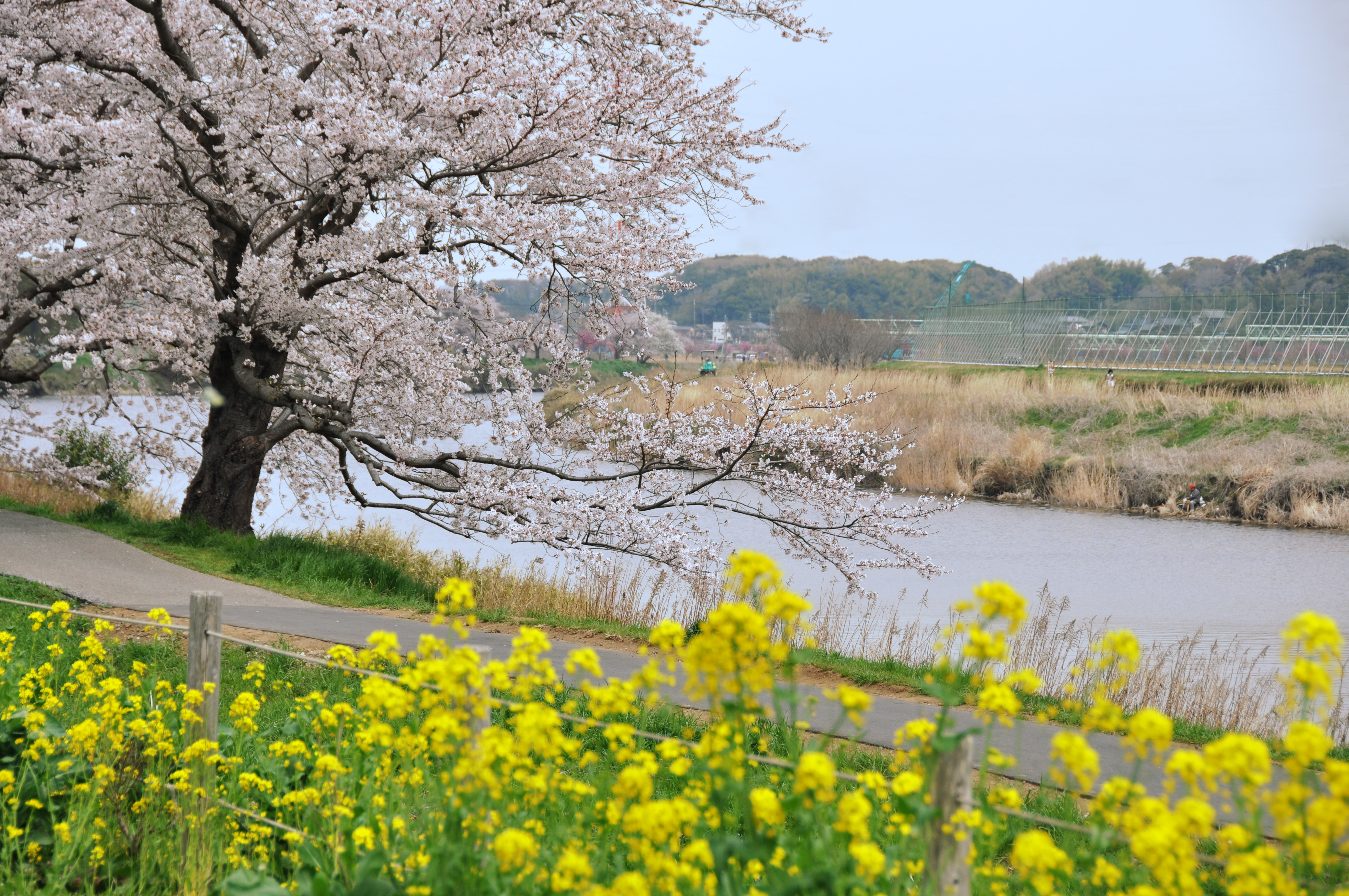 八千代の風景