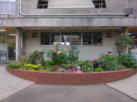 村上公民館(花壇0613)